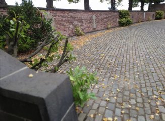 Auch bei Bildern mit Fokus auf dem Hintergrund wirkt der Bokeh-Effekt nicht zu unnatürlich