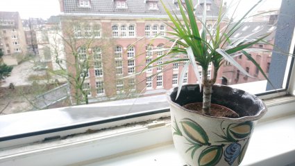 Für Bokeh-Aufnahmen verfügt das Sony Xperia XA2 Plus über eine eigene Foto-Funktion