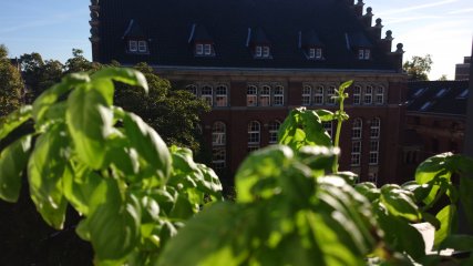 Nach Festlegung des Zooms per Fingertipp erscheint der Hintergrund des Bildes scharf