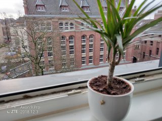 Ein simpler Fingertipp genügt und statt der Pflanze im Vordergrund wird das Haus im Hintergrund scharf dargestellt