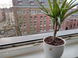 Die Dual-Kamera des ZTE Axon 9 Pro ermgöglicht den Bokeh-Effekt