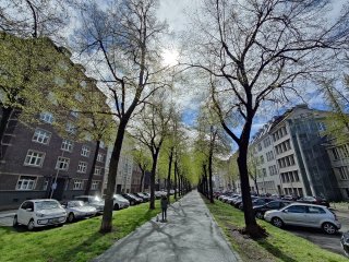 Ultraweitwinkel-Aufnahmen des realme GT2 weisen leider ziemliche Verzerrungen am Bildrand auf